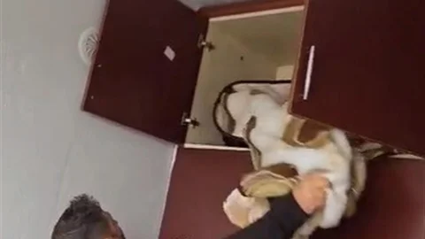 Konya'da Aranan Şahıs Yakalandı