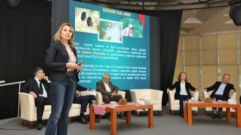 Bursa Kestanesinin Geleceği Tartışıldı