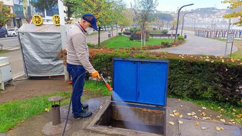 Ordu'da Haşere Mücadelesi Başlatıldı