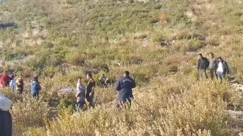 Antalya'da Dağda Mantar Toplama İhalesi