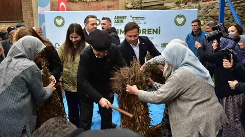 Balıkesir'de Susam Üreticisine Destek Artıyor