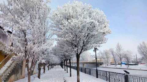 Bayburt Arpalı Beldesi'nde Kar Yağışı
