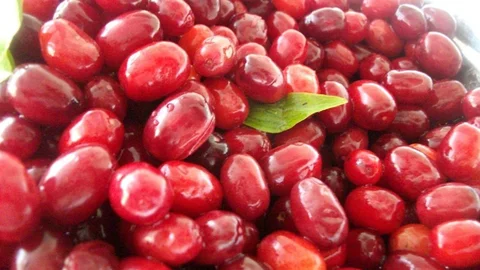 Erzincan'da Kızılcık ile Soğuk Algınlığına Doğal Çözüm