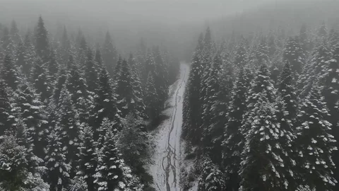 Karabük Yüksek Kesimlerinde Kar Yağışı Etkili Oldu