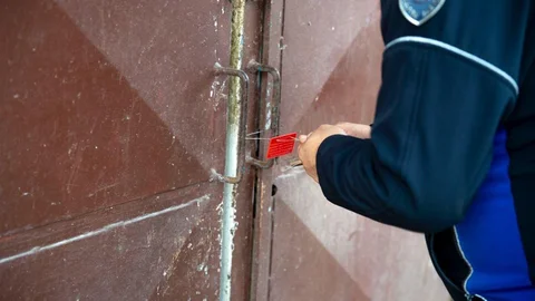 Adana'da Kokmuş Tavuk İmha Edildi