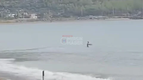 Silifke’ye Kış Gelmiyor: Silifke’de Bir Vatandaş Denize Girdi!