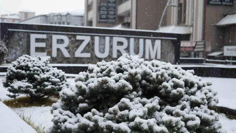 Erzurum'da Kar Yağışı Başladı