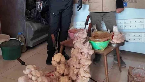 Hatay'daki Dönercide Hijyen İhlali Tespit Edildi