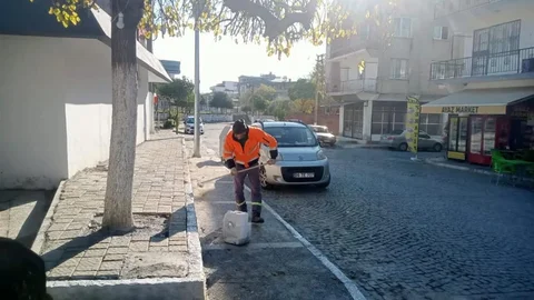 Germencik'te Ağaç Budama ve Kireçleme Çalışmaları