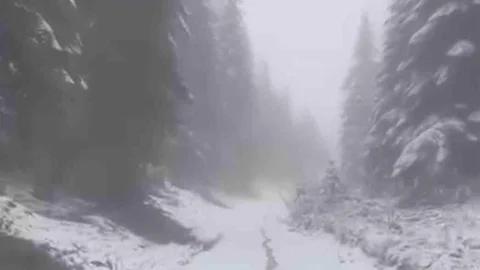 Karabük’ün yüksek kesimlerinde kar yağışı devam ediyor