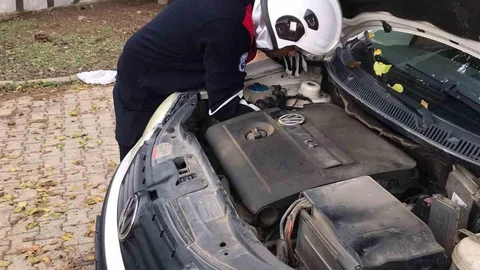 Üşüyen Kedi Otomobilin Motoruna Girdi