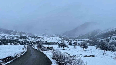 Sivas Koyulhisar'da Kar Manzaraları