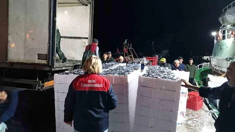 Kırklareli Demirköy'de Hamsi Denetimi Yapıldı