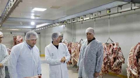 Aydın'da Halk Ege Et Modeli Başarıyla Yükseliyor