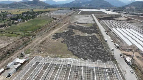 Yeşil Dönüşüm Yatırımları Samsun'da Hızlanıyor