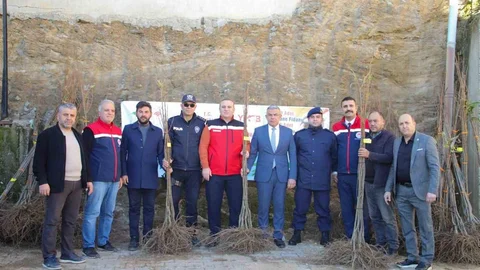 Köşk'te Kestane Fidanı Dağıtımı