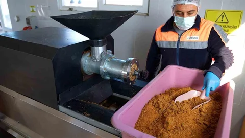 Didim'de Geri Dönüşüm Projesi