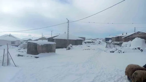 Kışkılı'daki Besiciler Kar Yağışı Nedeniyle Zor Durumda