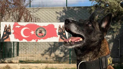 Konya'da Uyuşturucu İle Mücadele Başarıları