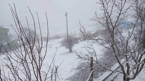 Posof’ta Kar Yağışı Devam Ediyor