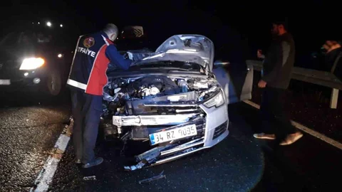 Mardin'de Trafik Kazası Sonucu At Telef Oldu