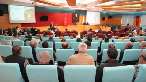 Tarsus’ta Sarı Ulak Zeytini Projesi: Üreticilere Bilgilendirme Eğitimi Verildi