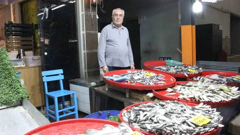 Bozdoğan'da Hamsi Tercih Ediliyor