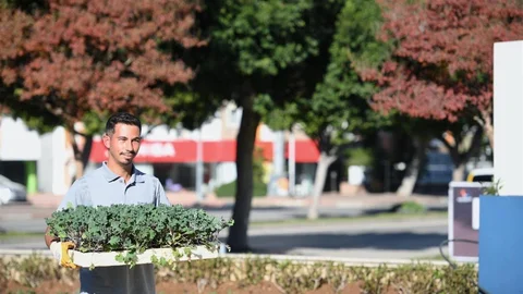 Konyaaltı'nda Mevsimlik Çiçek Ekimi Yapılıyor
