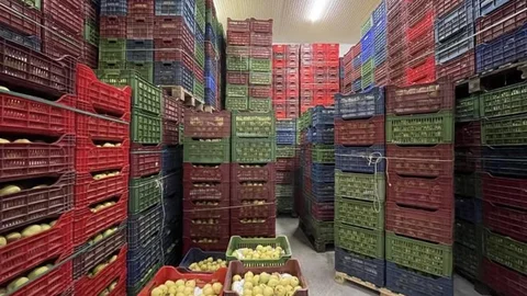 Bilecik'te Soğuk Hava Deposu Kapasitesini Doldurdu