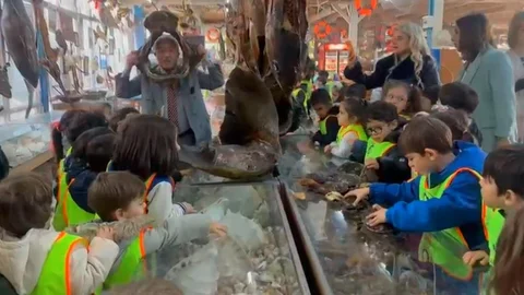 Minikler Mumya Balıkları İnceledi