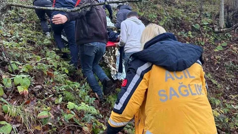 Zonguldak'ta Otomobil Ormanlık Alana Uçtu