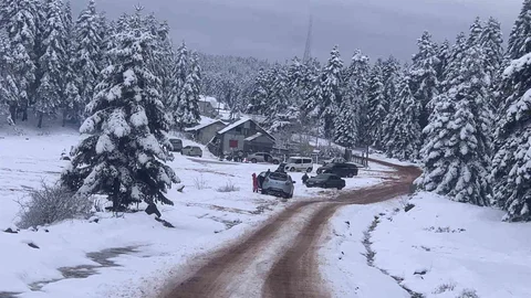 Bolu'da Kar Kalınlığı 10 Santimetreye Ulaştı
