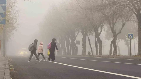 Diyarbakır'da Etkili Sis Görüş Mesafesini Düşürdü