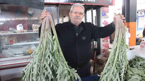 Aydın'da Enginar Yoğun İlgi Görüyor