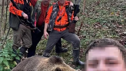 Trabzon'da Ayı Avı Başlatıldı