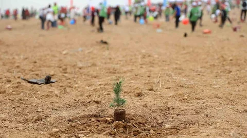 Adana'da Yeşil Kampüs Projesi Gelişiyor