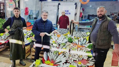 Yılan Balıkları Aydın'a Ulaştı