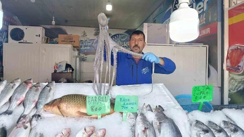 Kahramanmaraş'ta Balık Talebi Artıyor