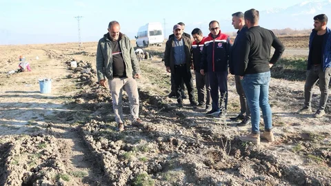 Erzincan'da Tuz Çalısı Fidanları Dikildi