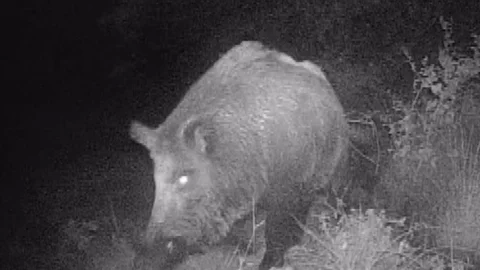Kahramanmaraş'ta Doğa Tutkusu