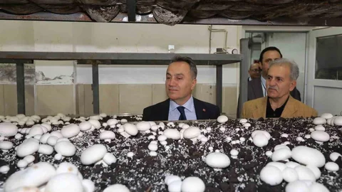 Tokat'ta Eğitim Modelleri Gelişiyor