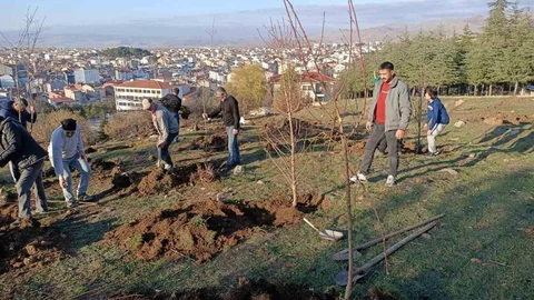 Sandıklı'da Badem Fidanı Dikimi Gerçekleşti