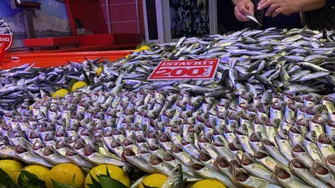 Bolu'da Fırtına Balık Tezgahlarını Etkiledi