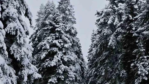 Çankırı'da Kar Yağışı Etkili Oldu