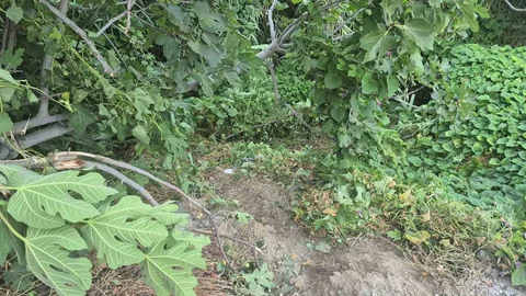 Fethiye'de Genç Hayatını Kaybetti