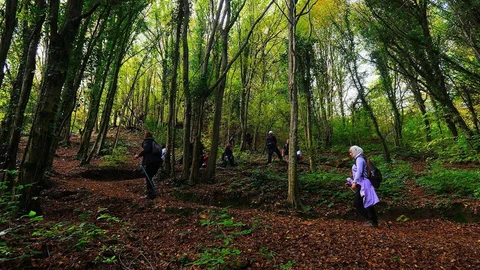 Sakarya'da Doğa Yürüyüşleri Düzenlendi