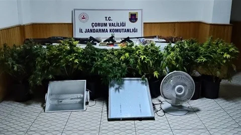 Çorum'da Uyuşturucu Operasyonu Gerçekleşti