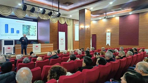 Arı Ölümleri Kışlamaya Bağlı Olabilir