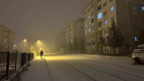 Van'da Yoğun Kar Yağışı Etkili Oldu