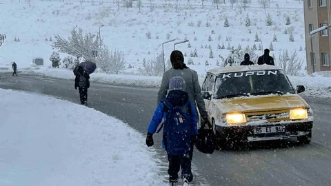 Van'da Yoğun Kar Yağışı Etkili Oldu